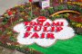 Tonami Tulip Fair