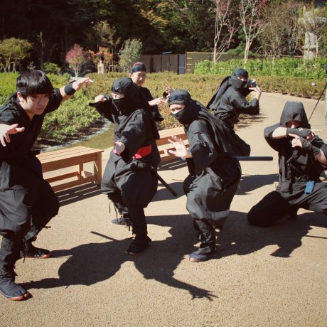 Ninja