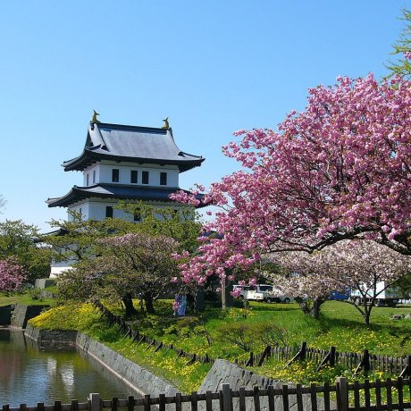 Cherry Blossom in Hokkaido