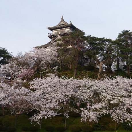 Sakai