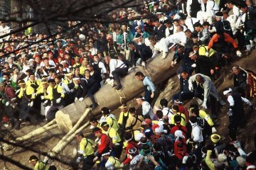 Onbashira Matsuri in Suwa, Nagano