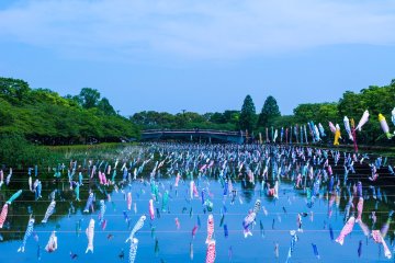 Tatebayashi Koinobori Festival