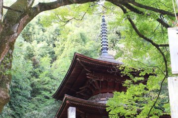New Year at Kanasana Shrine