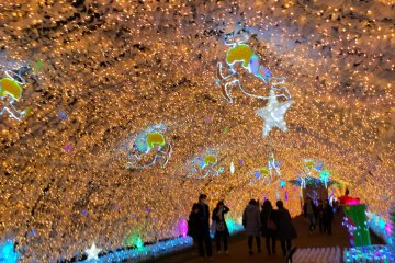 Toki no Sumika Illumination