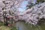 Hirosaki Cherry Blossom Festival