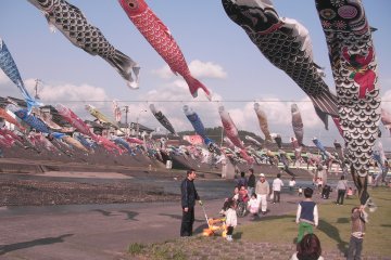 Kamo Koinobori Festival