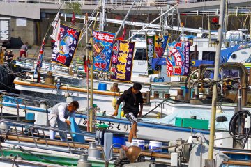Odawara Fish Festival