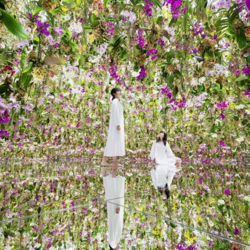 teamLab Planets TOKYO DMM