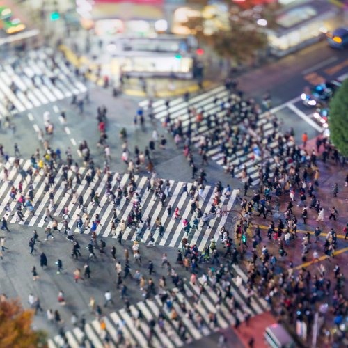 Looking down on Shibuya Crossing